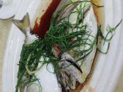 -惠来大排档(联创商业街店)