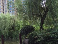 -潘太师炸鸡腿(中茵海华广场店)