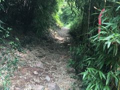 -井空里大峡谷