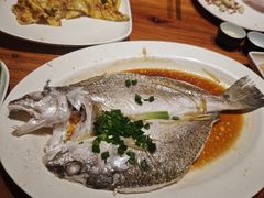 清蒸海鲈鱼-一粥(华侨城创意文化园店)