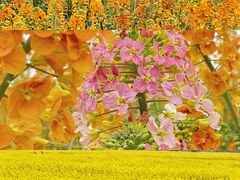 -中国天府农业博览园