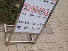 -新江湾城公园
