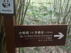 -成都大熊猫繁育研究基地