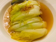-唐阁海景中餐厅·早茶·粤菜•生日聚餐(海口朗廷酒店)