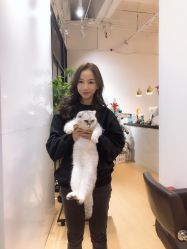 -D.z Salon 无痕接发潮店