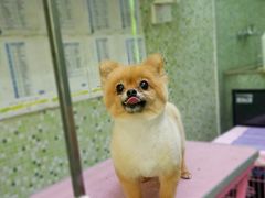 -瑞鹏宠物医院·骨科·猫科·内科(第一中心)
