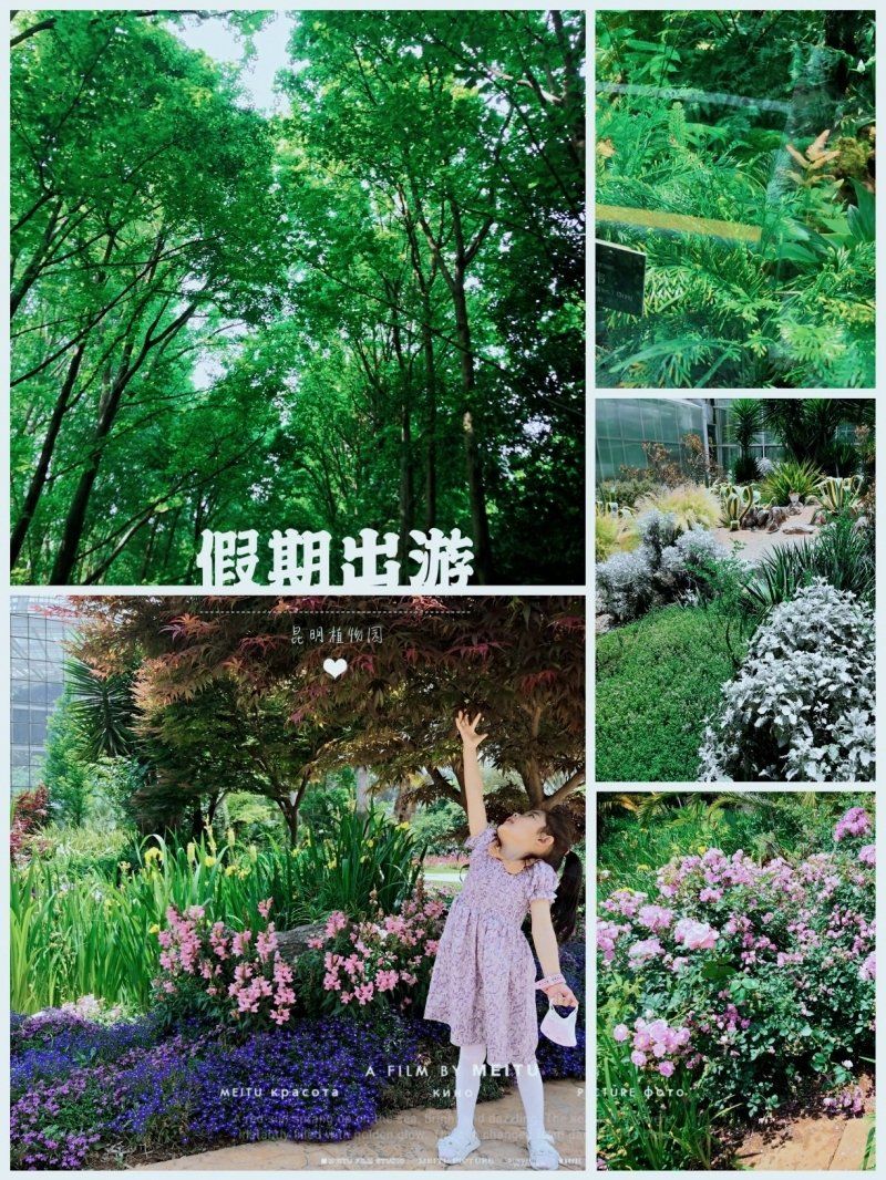 宝贝夏日出游记‖一起去学习植物小知识