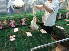 -荔城生鲜盛宴(番禺旗舰店)