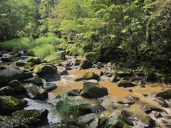 -茅兰沟国家森林公园