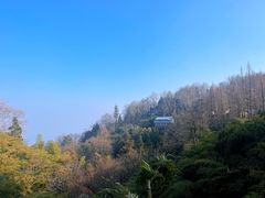 -莫干山风景区