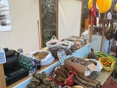 -广州市流溪河国家森林公园