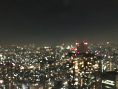 -东京都厅舍