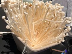 -额尔敦传统涮(公园西路店)