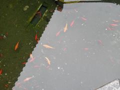android_upload_pic-状元米线(兖州银座店)