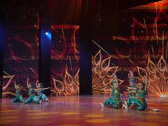 -蒲公英舞蹈艺术中心(解放路校区)