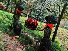 -天目湖御水温泉·度假酒店