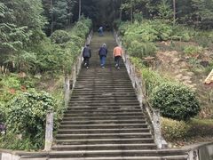 -铁山坪森林公园