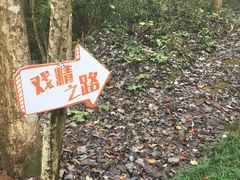 -灵栖洞天