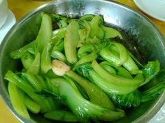 生炒水东芥菜-姚林轩