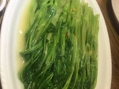 豆酱空心菜-潮中人·潮州菜(益乐路店)
