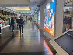 -厦门高崎国际机场-T3航站楼