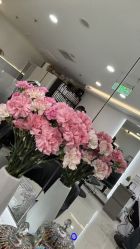 -HaLo hair studio
