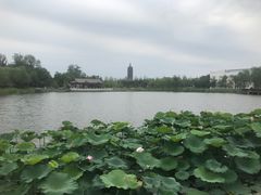 -西海子公园