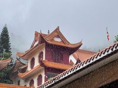 -深圳仙湖植物园