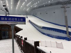 -哈尔滨热雪奇迹