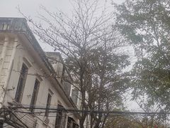 -赤坎老街