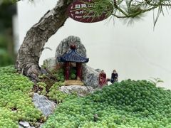 -上海醉白池公园