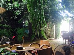 -Fern Forest Cafe