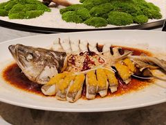 -鑫复盛礼记酒店·青岛菜