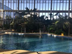 -中家鑫园温泉酒店鑫悦汤泉