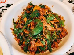 青辣椒炒肉-壹盏灯(惠农店)