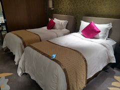 -深圳皇庭V酒店