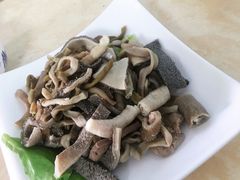 -墨脱石锅椰子鸡•香草鸭•东山羊(大东海店)