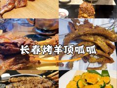 -蒙古人烹羊专家(东风大街店)