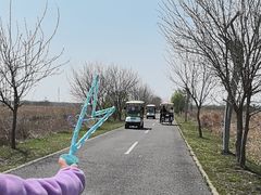 -盐城丹顶鹤湿地生态旅游区