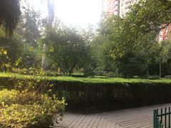 -西安市长乐公园