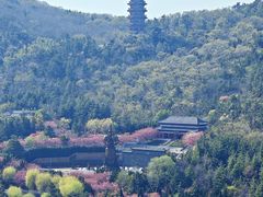 -石岛赤山风景区