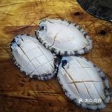 来一碗33元的鲍鱼捞饭吧[亲亲]
