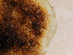 素烧饼-李小老烧饼(常营民族家园店)