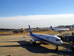-全日本空输株式会社(上海办事处)
