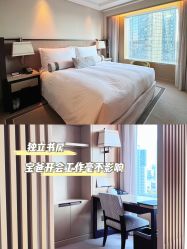 -巍阁高端月子会所