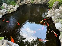 -鲤院·新中式美学·庭院餐厅(夫子庙店)