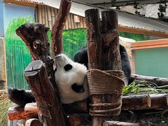 -青藏高原野生动物园