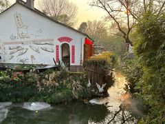 -西溪国家湿地公园