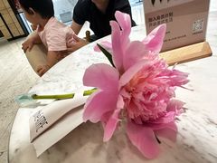 -théATRE 茶聚场(王府中環店)