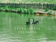 -云水涧亲子度假酒店